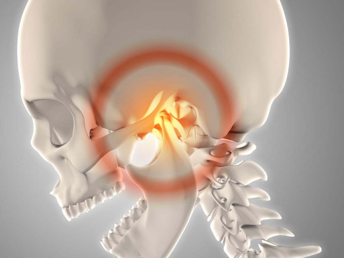 jaw